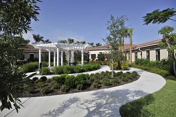 A beautiful garden with a pergola and winding pathway surrounded by lush greenery on a sunny day.