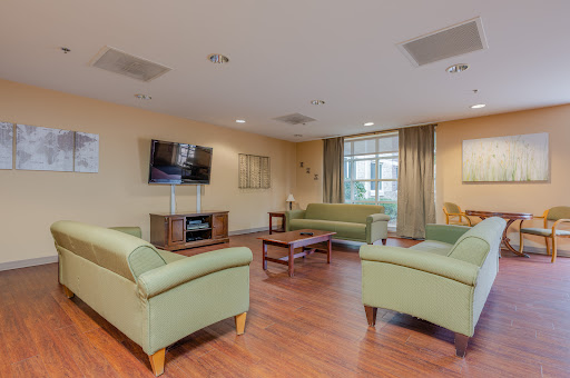 A cozy and inviting living room featuring green sofas and warm wooden flooring.