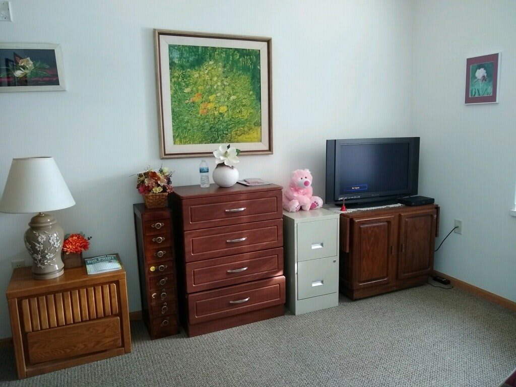 A neatly arranged room featuring a dresser, file cabinet, and TV stand with a television. A colorful painting hangs on the wall above, complemented by decorative items including a stuffed toy.