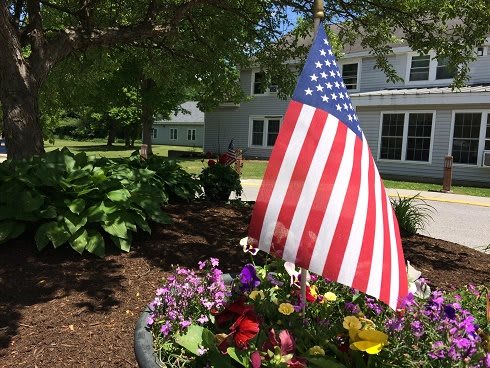 An American flag displayed in a vibrant flower garden outside a building.