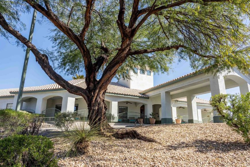 A white building with a large tree in the foreground under a clear blue sky.