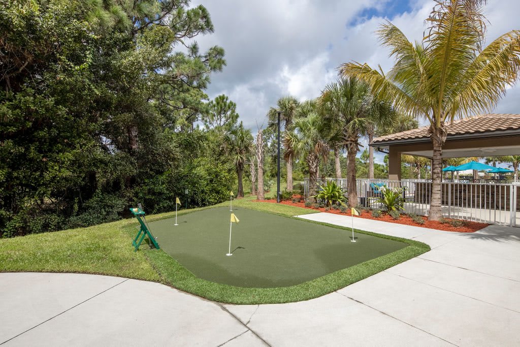 A well-maintained outdoor putting green surrounded by lush palm trees.