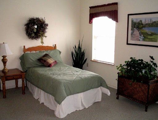 A cozy bedroom featuring a single bed with green bedding and decorative plants, illuminated by natural light through the window.