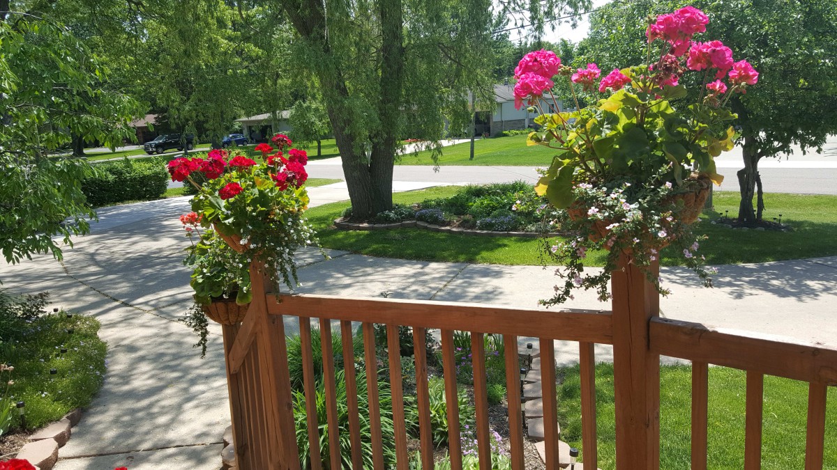 A sunny day with a view of a garden and blooming flowers from a wooden deck.