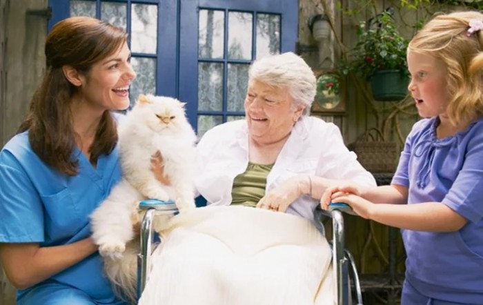 A nurse and an elderly woman in a wheelchair enjoy time with a cat.