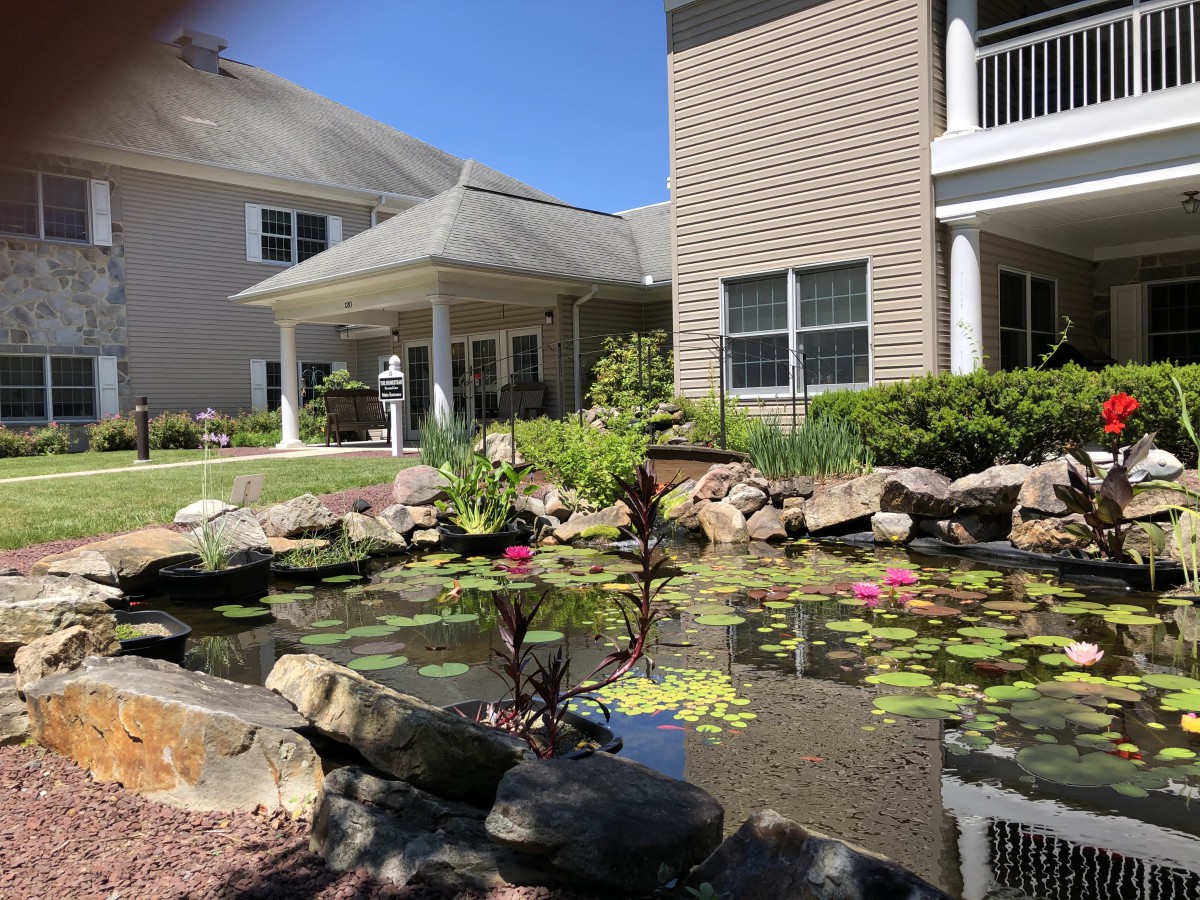 A tranquil garden scene featuring a pond with water lilies, surrounded by rocks and greenery, adjacent to residential buildings.