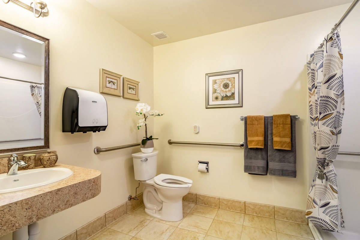 An accessible bathroom featuring a toilet, sink, and handrails with decorative towels and wall art.