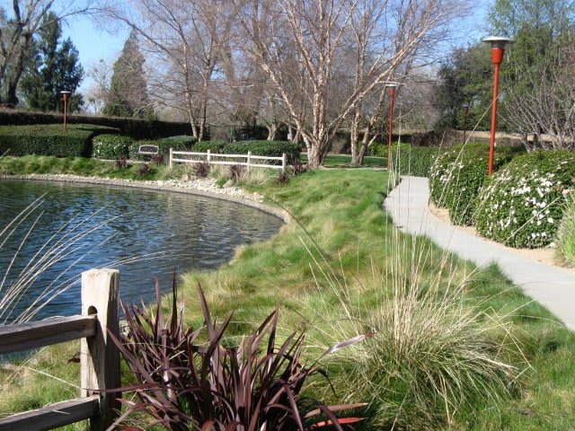 A serene garden scene featuring a pond surrounded by lush grass and trees with a wooden fence along the edge.