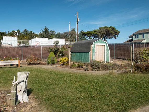 A garden landscape featuring a green shed, surrounded by trees and bordered by a fence.