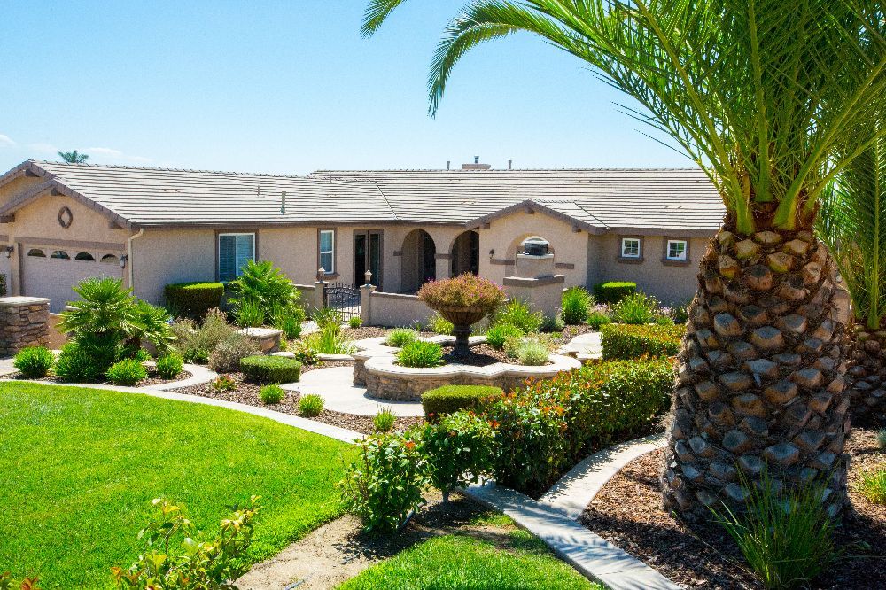 A beautifully landscaped yard with a modern house and palm tree under a sunny sky.