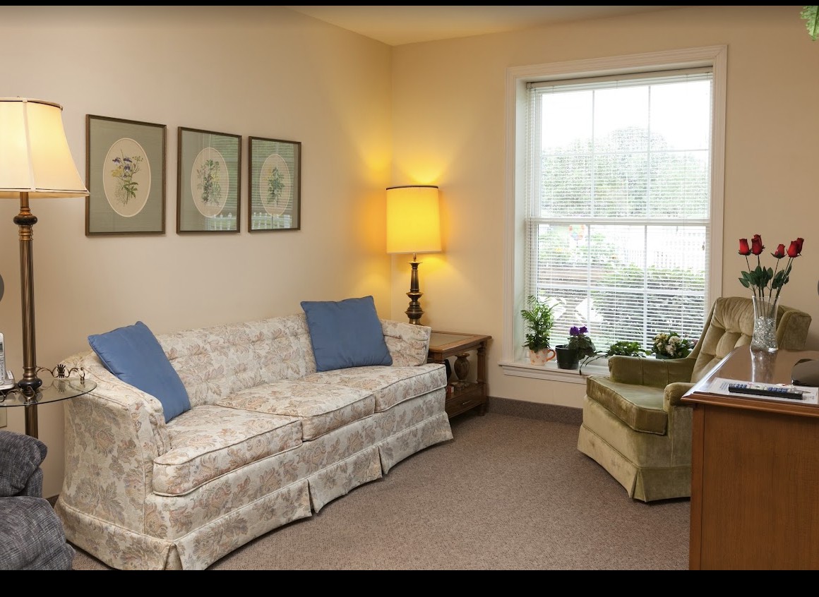 A cozy living room with a patterned sofa, blue cushions, a lamp, and plants by the window.