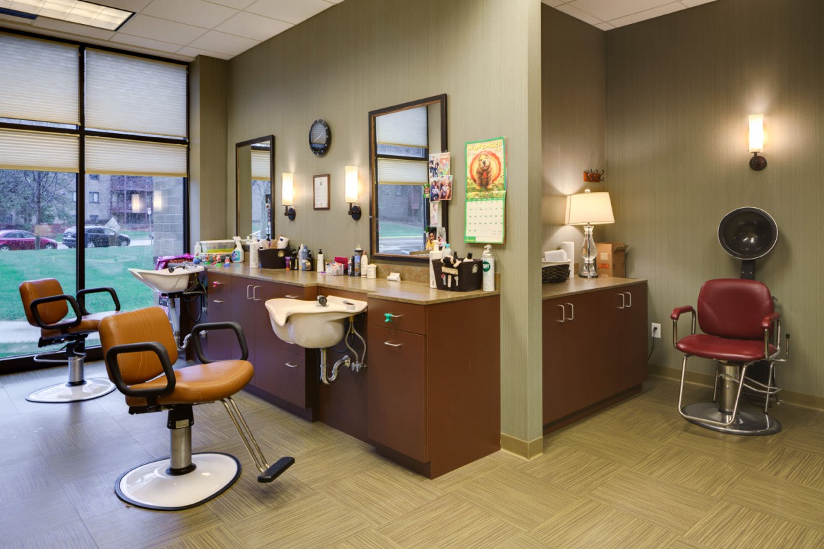 A well-lit hair salon with chairs, mirrors, and styling stations.