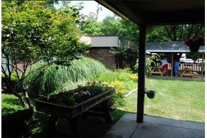 A lush green backyard garden with a variety of plants and trees, creating a serene outdoor space.