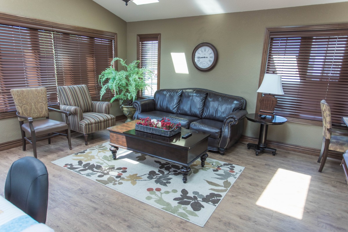 A cozy living room with a leather sofa, armchair, and coffee table, featuring a decorative rug and indoor plant.