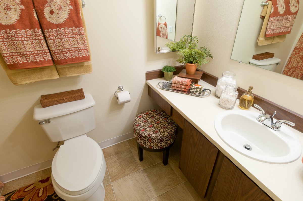 A cozy bathroom interior featuring a toilet, sink, and mirror with decorative elements like towels and a potted plant.