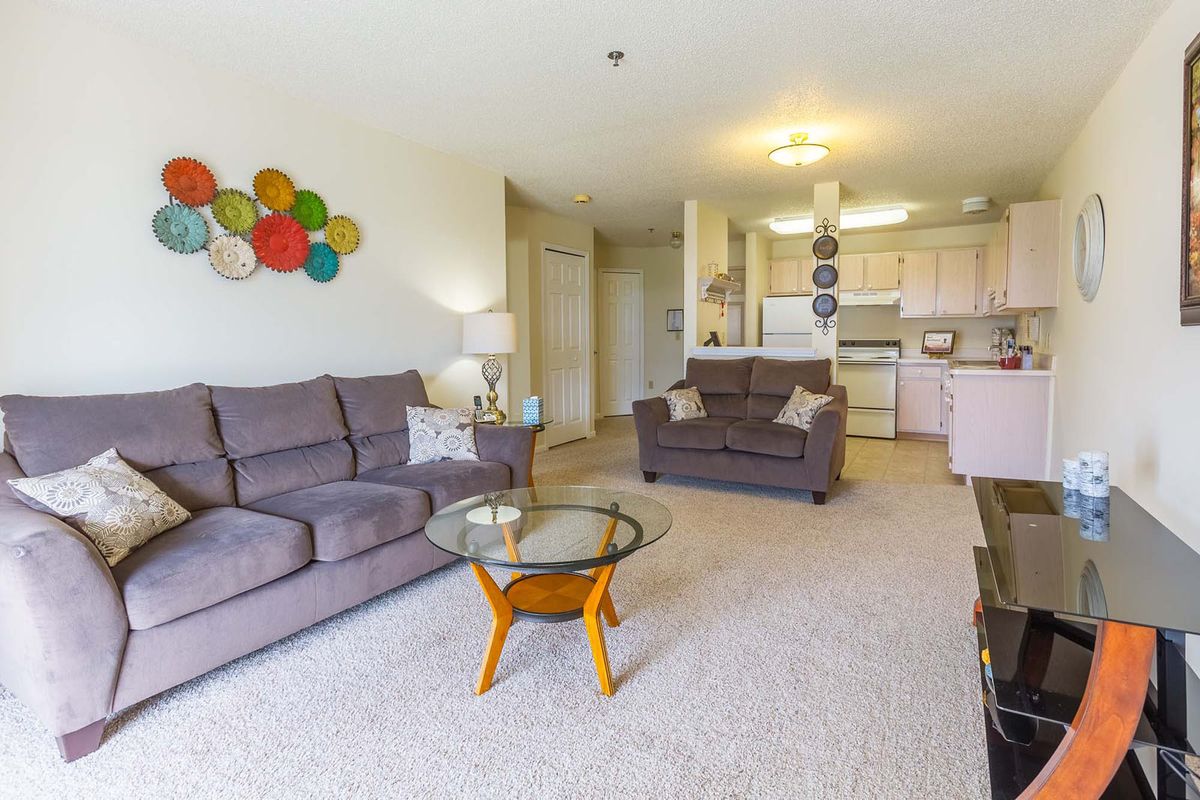 A bright and modern open-plan living room with a kitchen, featuring comfortable sofas and a stylish coffee table.