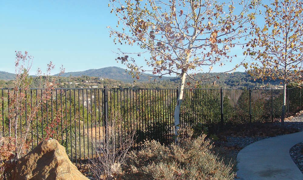 A scenic view of a tree and fence with mountains in the background.