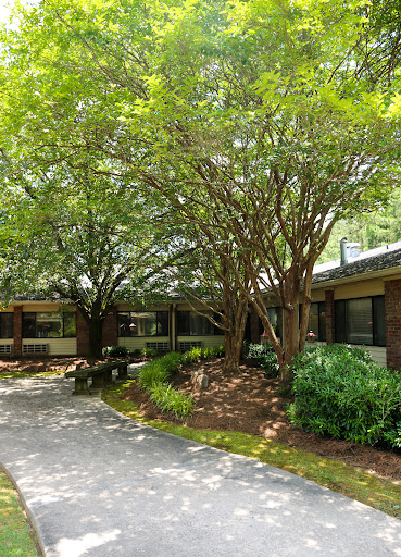 A serene outdoor view featuring modern architecture surrounded by lush greenery.