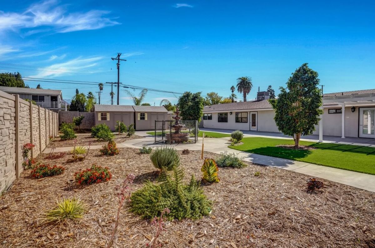 A residential yard with landscaping and a clear blue sky.