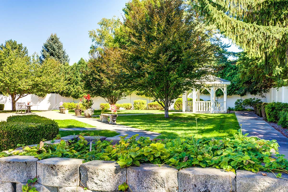 A tranquil garden featuring a charming gazebo surrounded by lush greenery and a clear blue sky.
