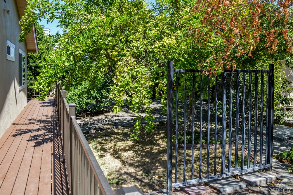 A walkway with an open gate leading to a tree-filled area.