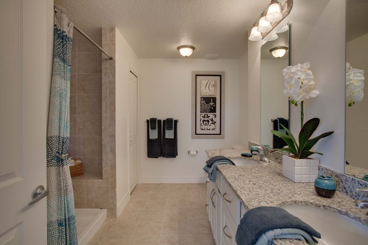 A modern bathroom featuring a granite countertop, double sinks, and a walk-in shower with decorative elements.