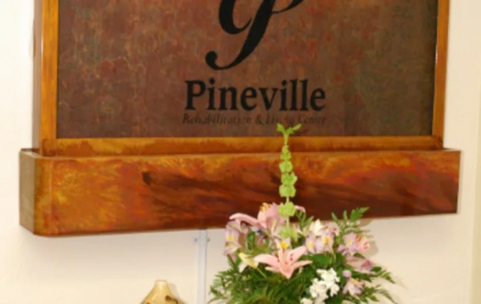 Pineville Rehabilitation And Living Center