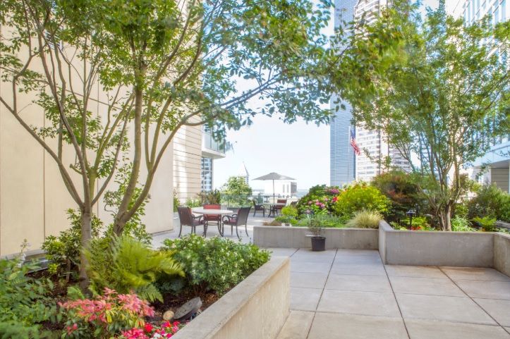 A tranquil urban garden with lush greenery and flowers on a patio, surrounded by tall buildings.