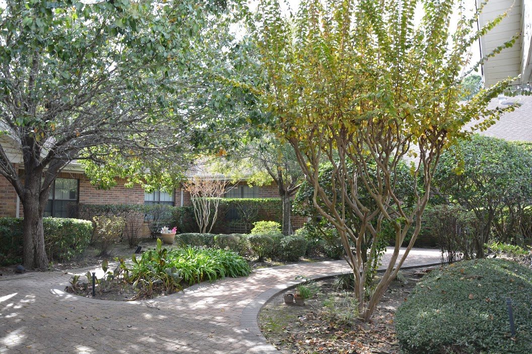A serene garden with a winding pathway surrounded by lush trees and foliage.