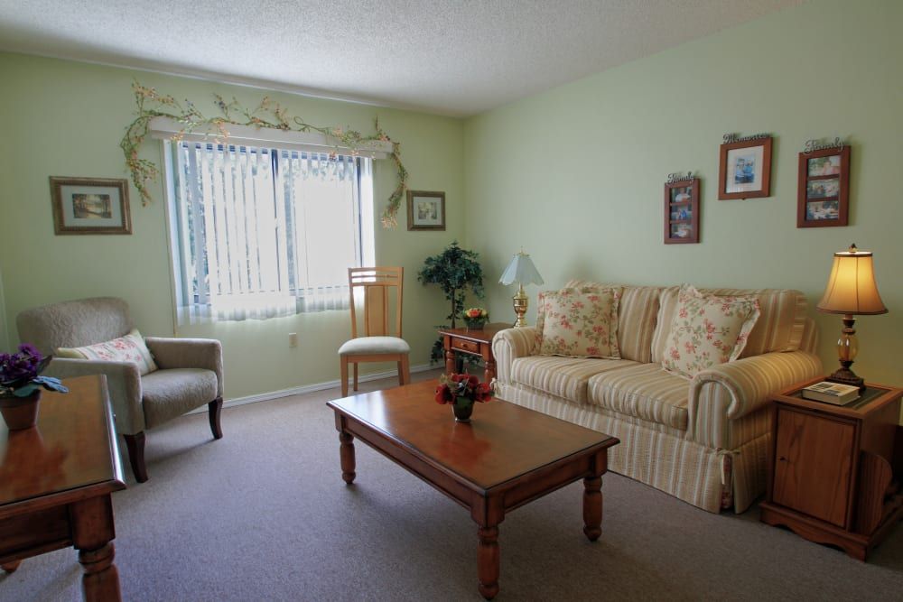 A cozy living room with a sofa, coffee table, and armchair arranged neatly, complemented by decorative elements.