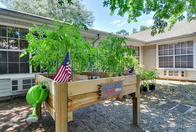 A raised garden bed with flourishing plants in front of a house, adorned with small American flags.