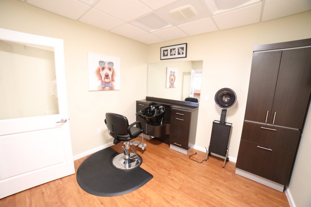 A cozy hair salon setup with a styling chair, mirror, and hair dryer.