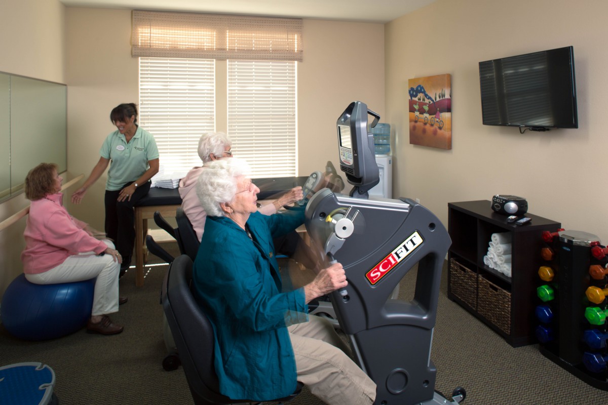 Elderly individuals participating in an indoor fitness class using exercise equipment.