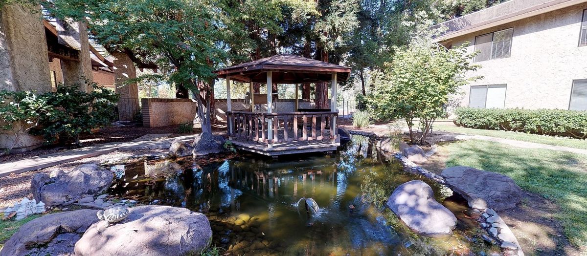 A tranquil gazebo overlooking a serene pond surrounded by lush trees.