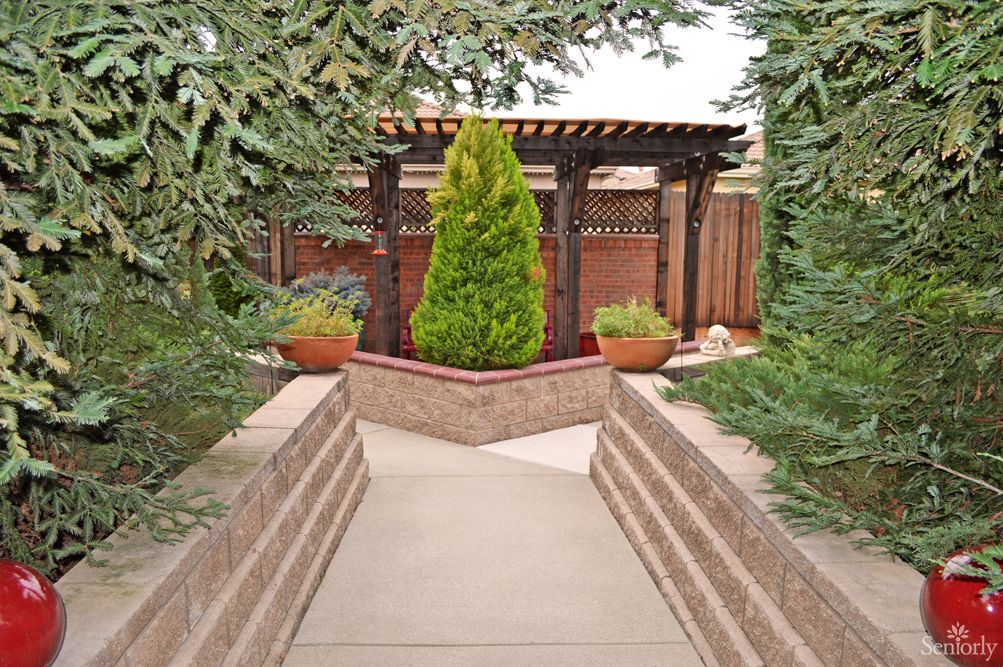 A serene garden pathway leading to a pergola, surrounded by lush greenery and potted plants.