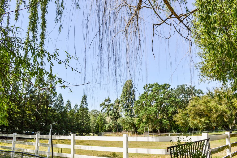 A serene view of a fenced pasture with trees under a clear blue sky.