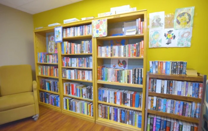 A cozy library room with wooden bookshelves filled with a diverse collection of books.
