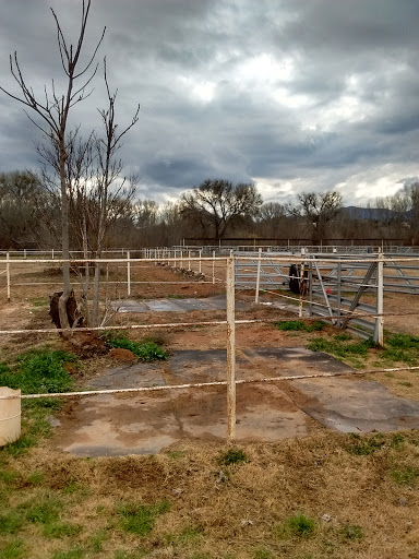 Country Ranch