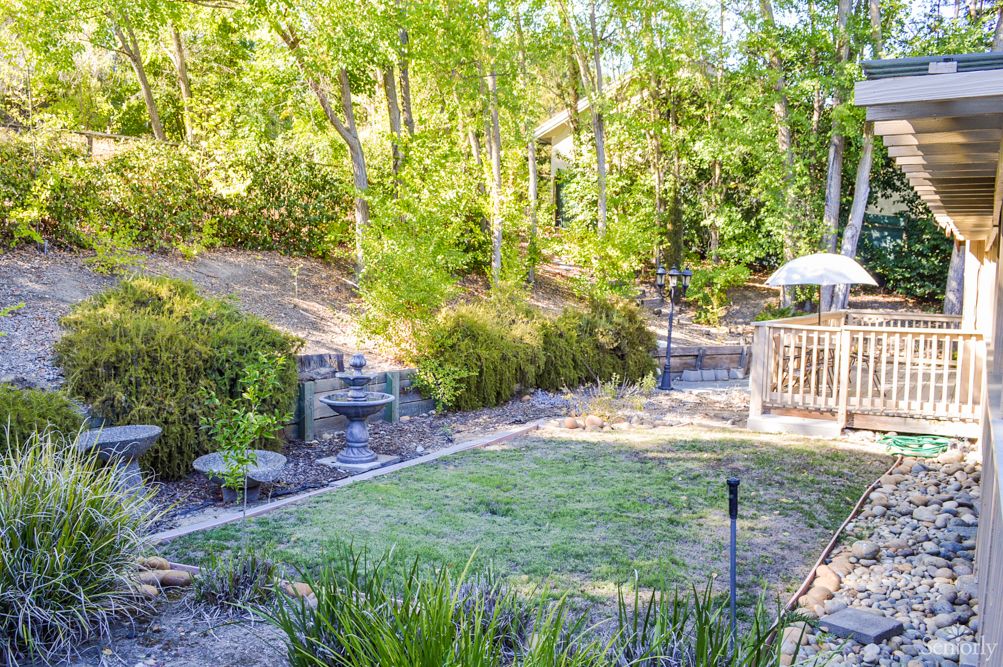 A serene backyard garden with lush greenery and a small lawn area.