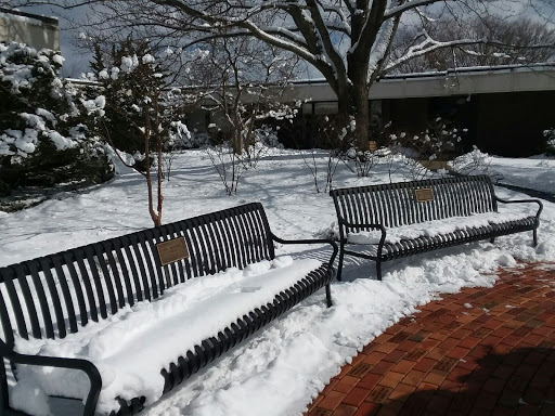 A serene winter scene with benches covered in freshly fallen snow.