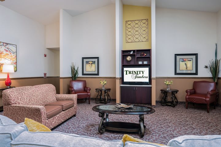 A cozy living room with stylish furniture and decorative elements.