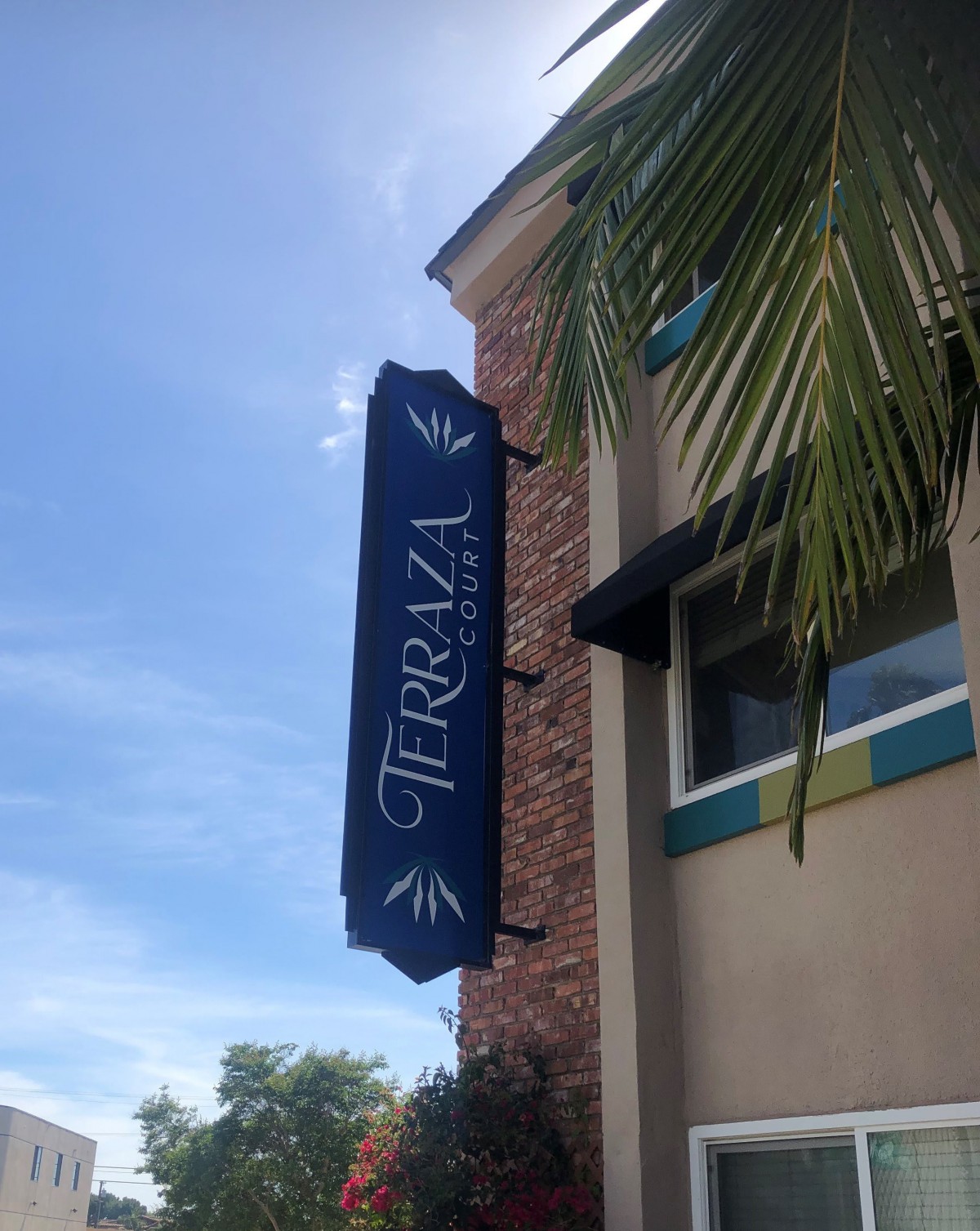 A view of a building with a 'Terraza' restaurant sign and a palm tree in the foreground.