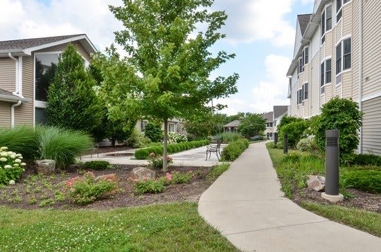 A peaceful residential area with a sidewalk and lush greenery.