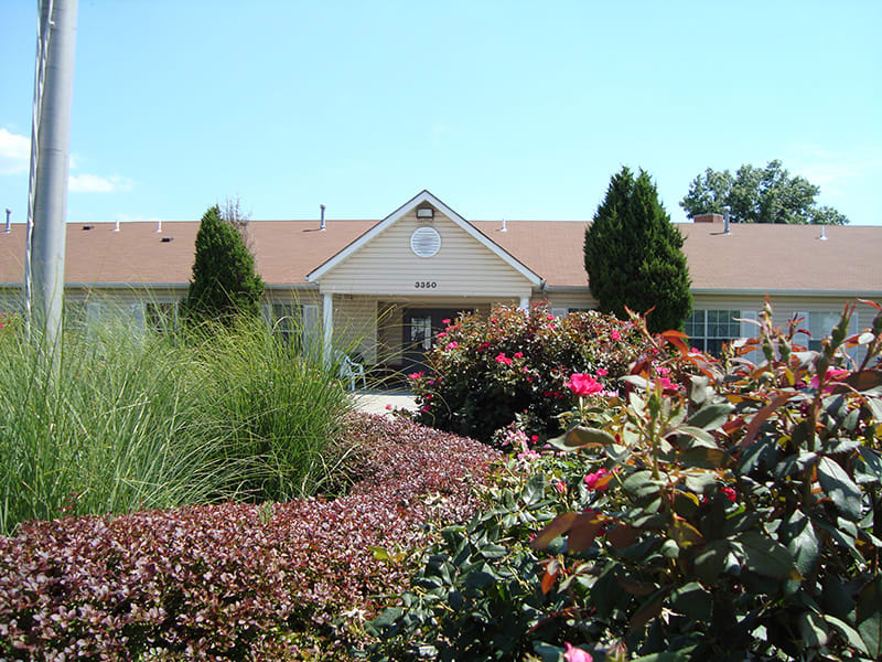 A well-maintained garden with various shrubs and flowers in front of a building under a clear blue sky.