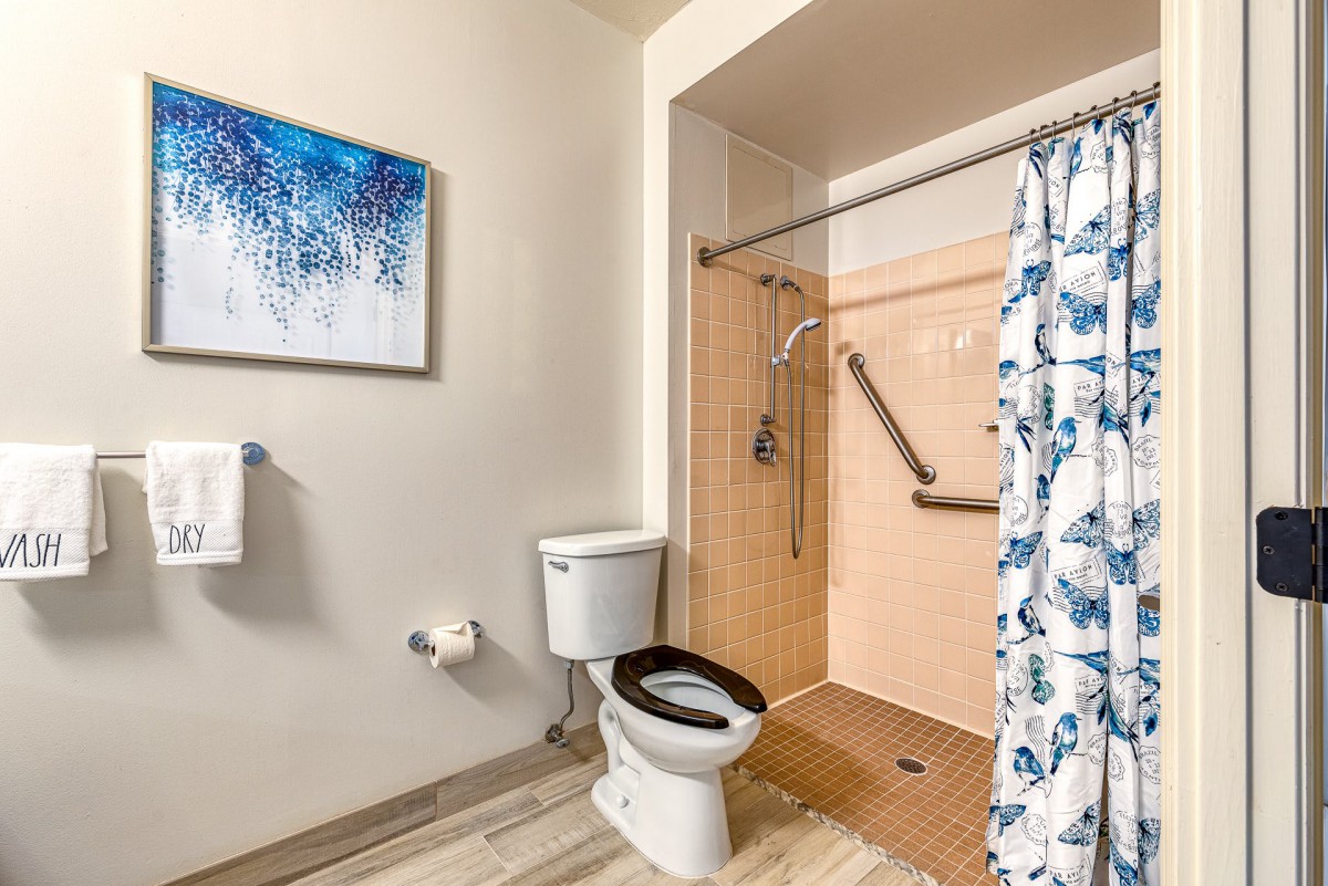 Accessible bathroom with a shower, toilet, and grab bars.