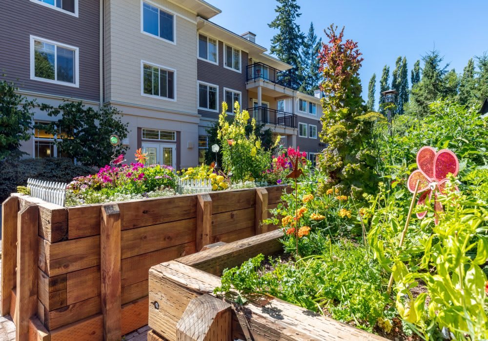 A lush garden with raised beds in front of a residential building on a sunny day.