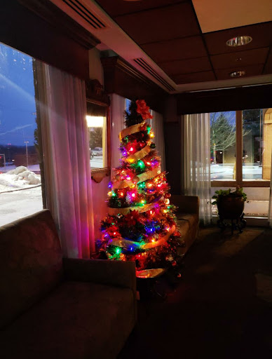 A beautifully decorated Christmas tree illuminated with colorful lights in a cozy interior setting.