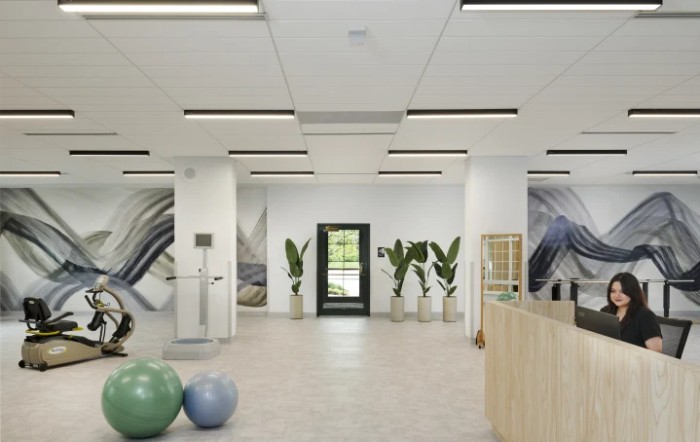 A modern and minimalist exercise room featuring yoga balls and indoor plants.