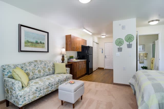 A cozy living room with a floral sofa, small kitchen area, and decorative elements.