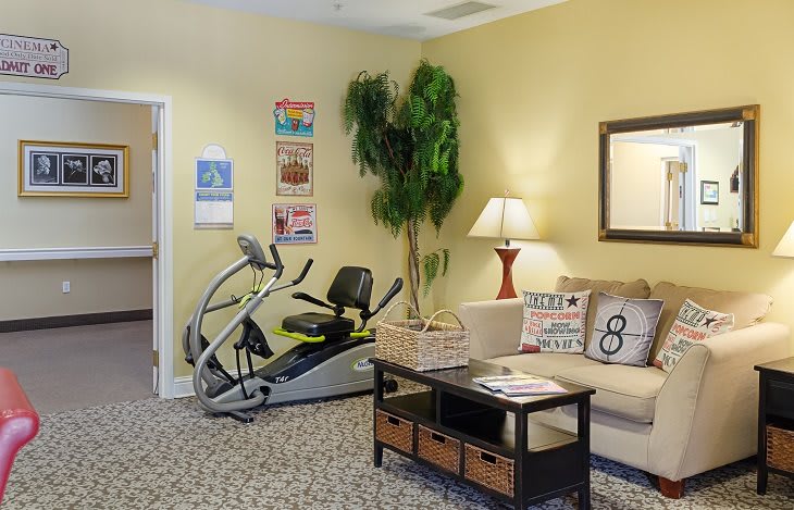 A cozy living room with an exercise bike, plush couch, indoor plant, and decorative elements.